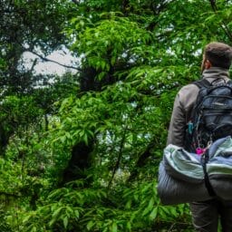 Man hiking in a forest.